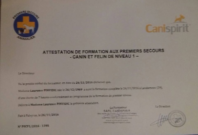 FORMATION AUX PREMIERS SECOURS CANIN ET FELIN