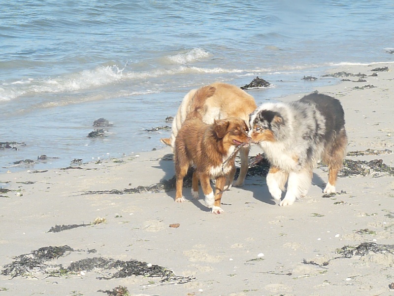 LA PLAGE en famille