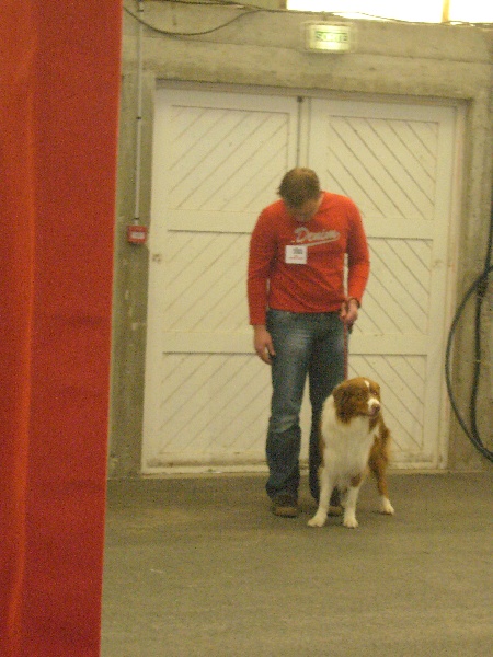 EXPOSITION CANINE